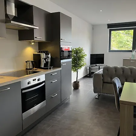 Loft A La Source Apartment